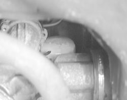 Click image to see an enlarged view