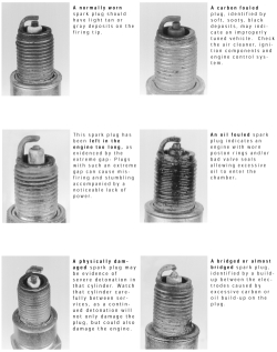 Click image to see an enlarged view